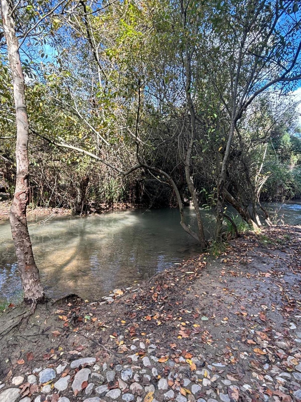 El Rincon De Las Higueras El Bosque Ngoại thất bức ảnh
