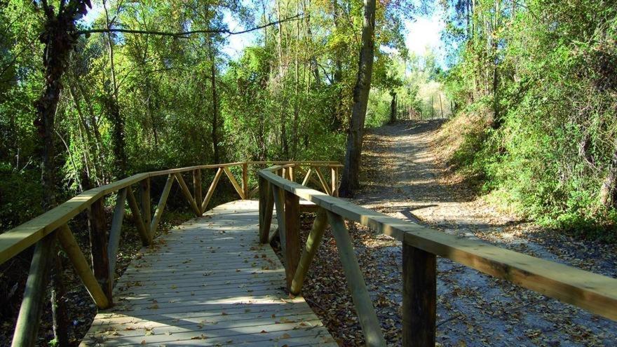 El Rincon De Las Higueras El Bosque Ngoại thất bức ảnh
