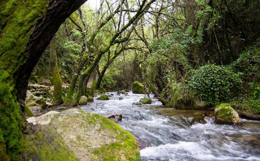 El Rincon De Las Higueras El Bosque Ngoại thất bức ảnh